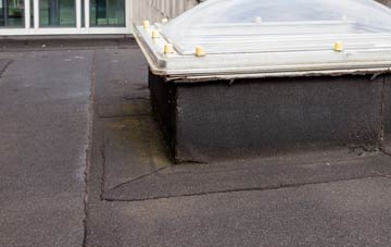 disadvantages of Newmiln flat roofs