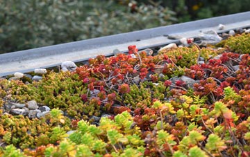 the cost of Newmiln green roof installation