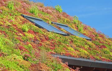 Newmiln living roof systems