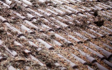 Newmiln roof cleaning companies