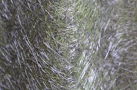 Newmiln fibreglass roof work